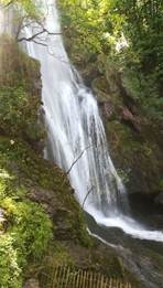 A waterfall in the forest

AI-generated content may be incorrect.
