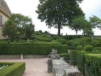 A garden with hedges and trees

AI-generated content may be incorrect.